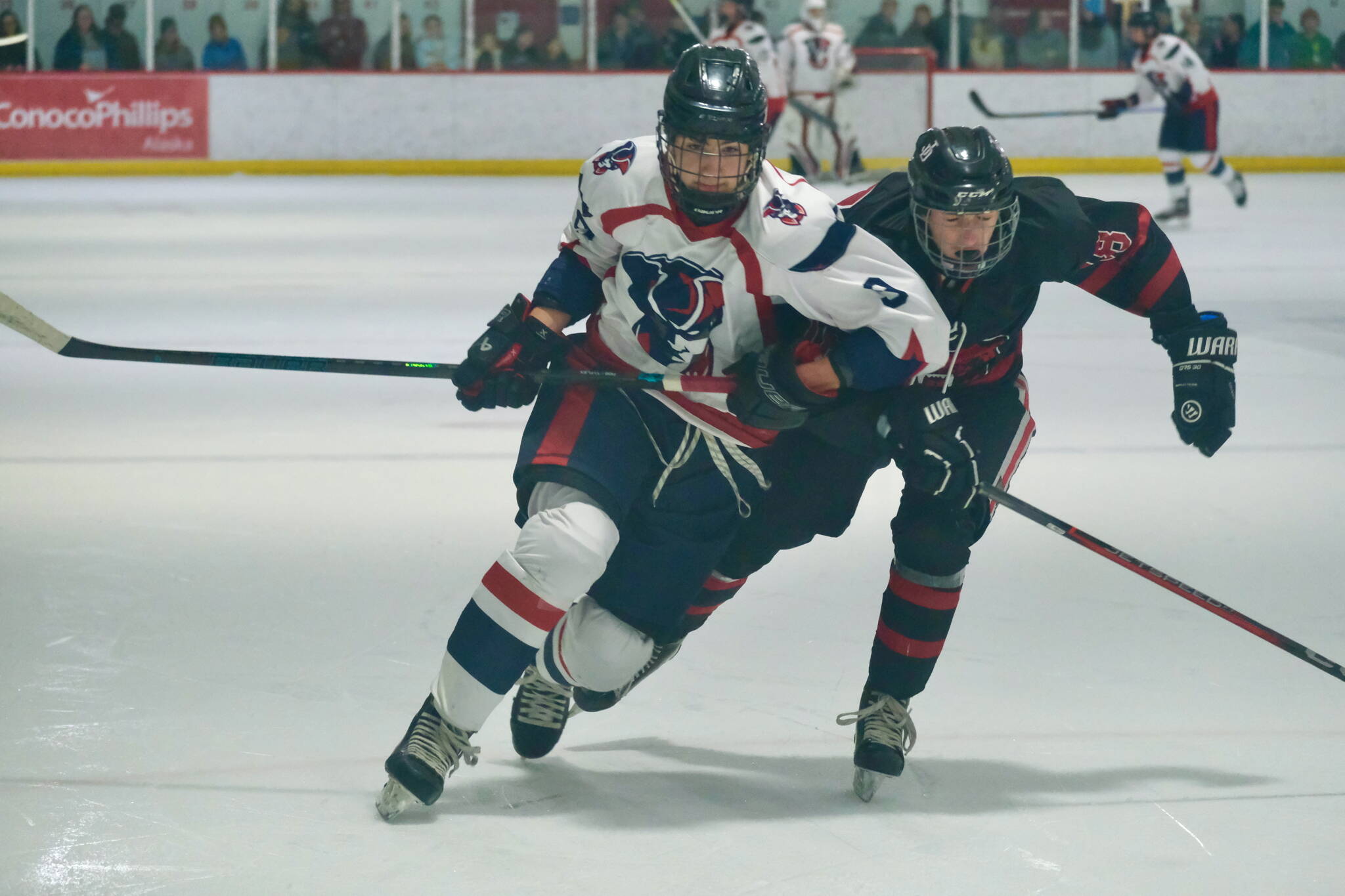 North Pole senior Kagen Kramer (9) andJuneau-Douglas High School: Yadaa.at Kalé junior Elias Schane (18) battle for puck position during the Patriots 4-2 win over the Crimson Bears on Friday at the Treadwell Ice Arena. The two teams play again Saturday at 3 p.m. (Klas Stolpe / Juneau Empire)