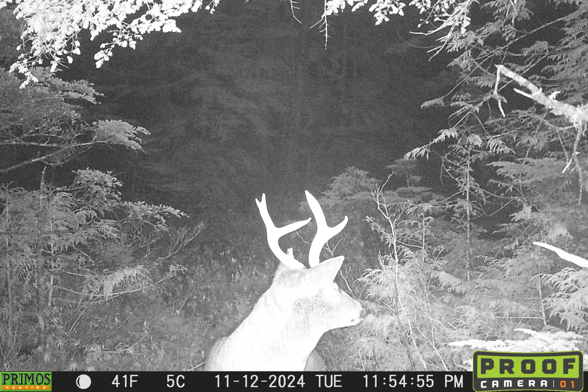 The author's wife sets and checks game cameras as a way of continuing outdoor adventure with a baby at home. (Photo provided by Jeff Lund)