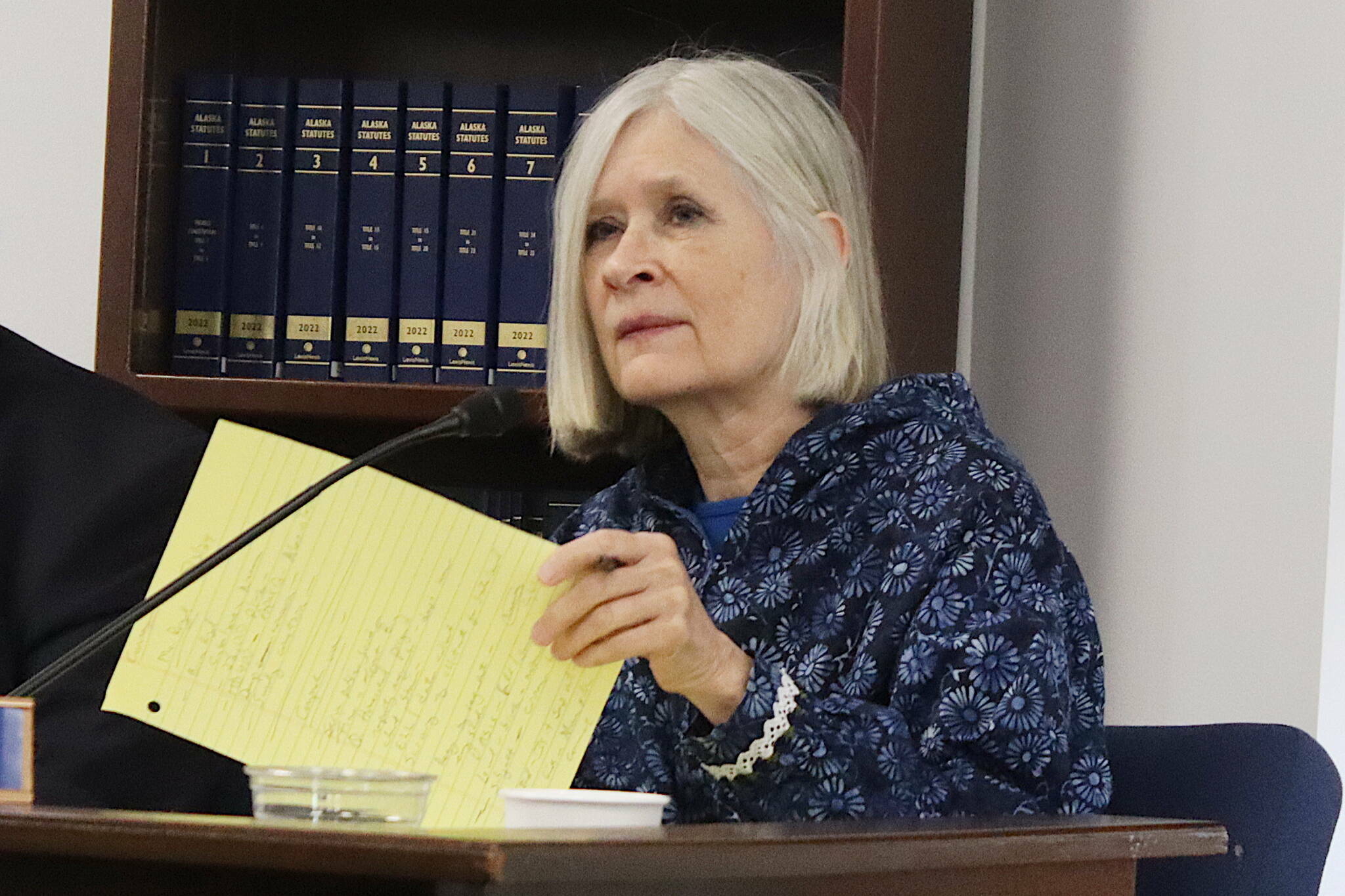 Rep. Andi Story, a Juneau Democrat, listens to a presentation during a House Education Committee meeting May 3, 2024, at the Alaska State Capitol. Story has been named co-chair of the committee for the upcoming legislative session. (Mark Sabbatini / Juneau Empire)