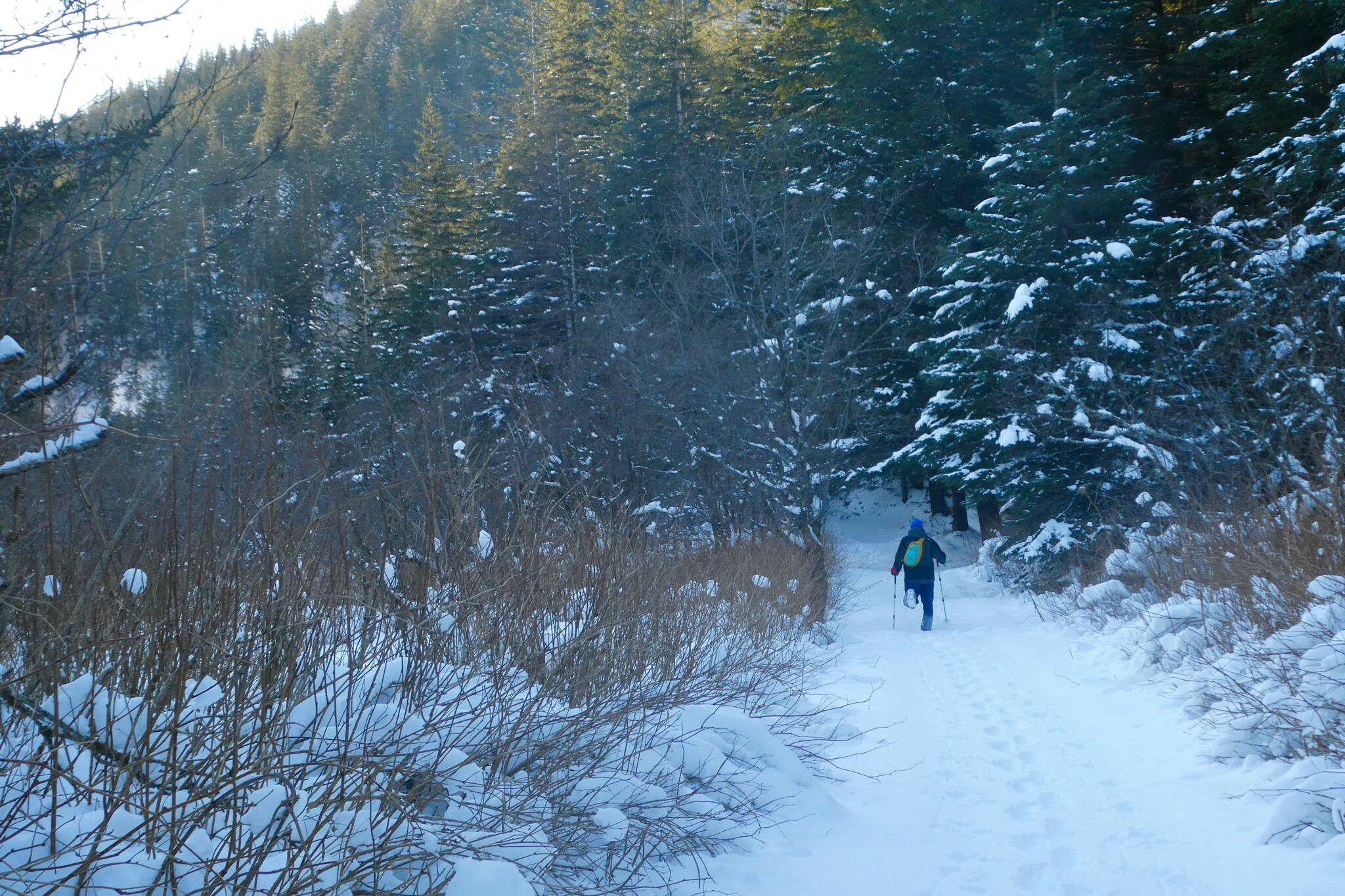 The author is moving down the Perseverance Trail this Thanksgiving. (Klas Stolpe / Juneau Empire)