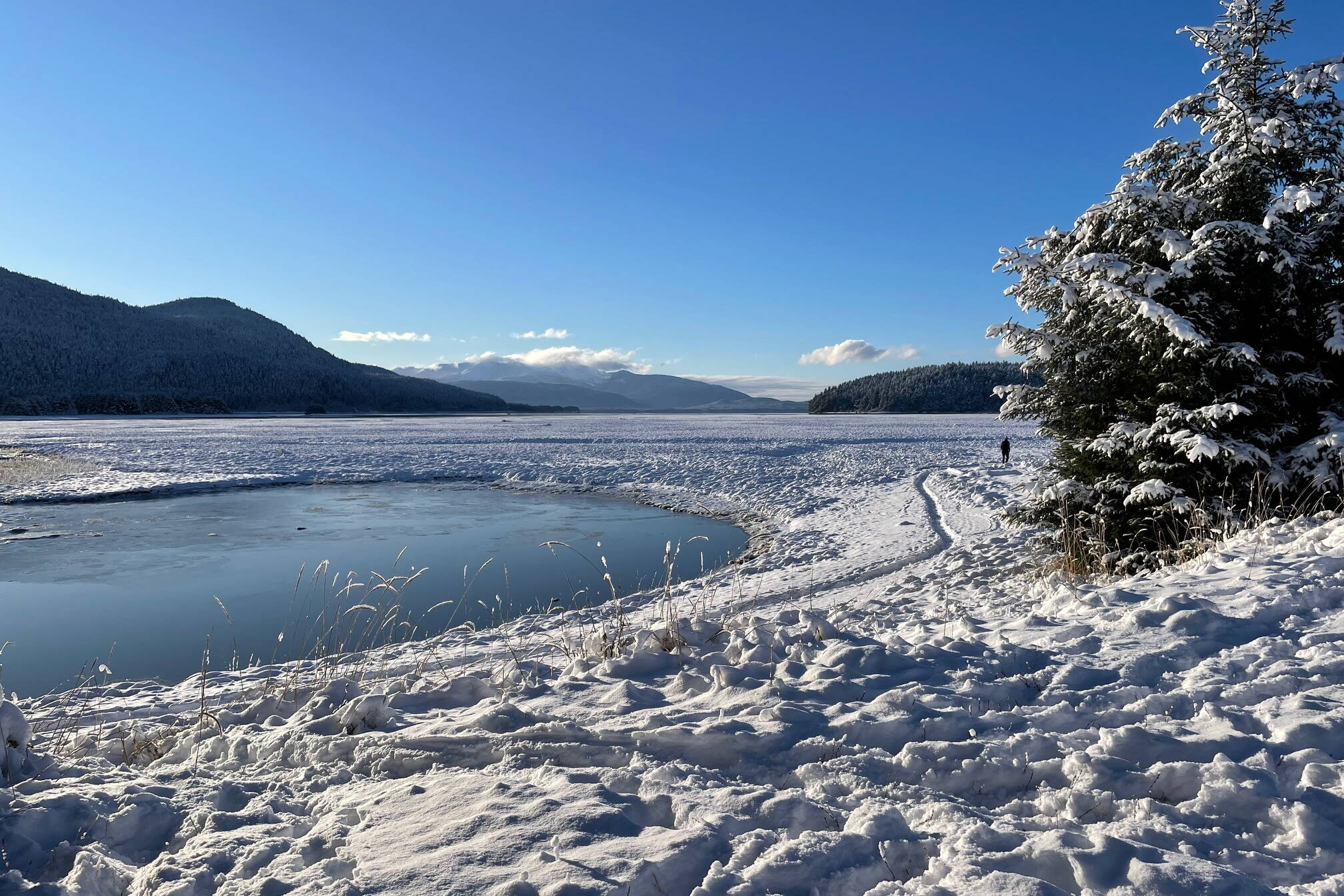 A person walks along the tideline adjacent to the Airport Dike Trail on Thursday. (Laurie Craig / Juneau Empire)