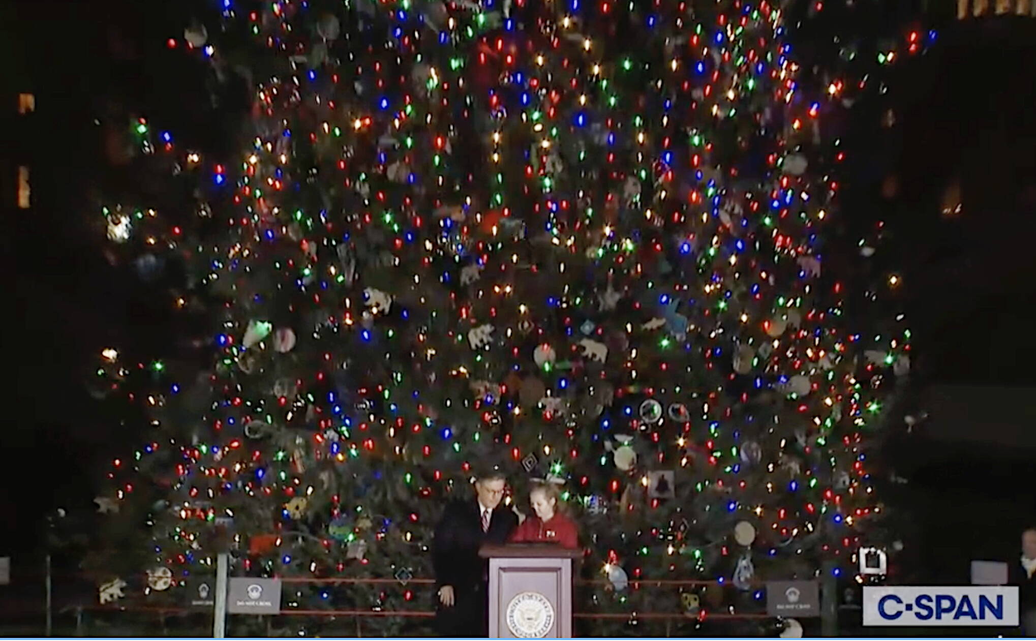 Rose Burke, 9, a fourth-grade student from Kenai, flips the switch to illuminate the U.S. Capitol Christmas Tree during a ceremony Tuesday night in Washington, D.C., as U.S. House Speaker Mike Johnson watches next to her. (Screenshot from C-SPAN broadcast)