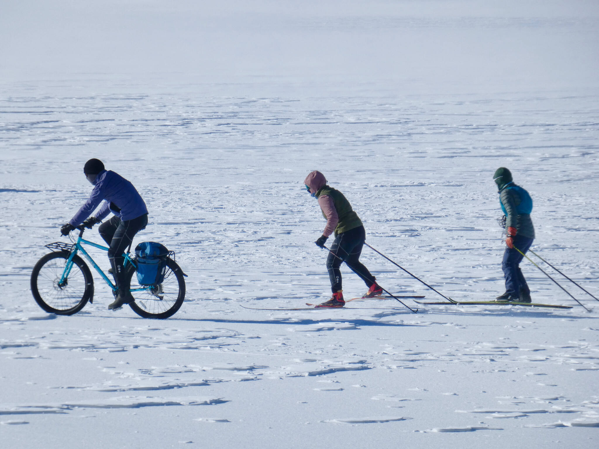 Two Nordic skiers follow a biker across Mendenhall Lake last winter. Nordic ski racing is one of the most energetically demanding sports because it involves technique, full body endurance and equipment care to perform at one’s best. (Photo by Klas Stolpe)