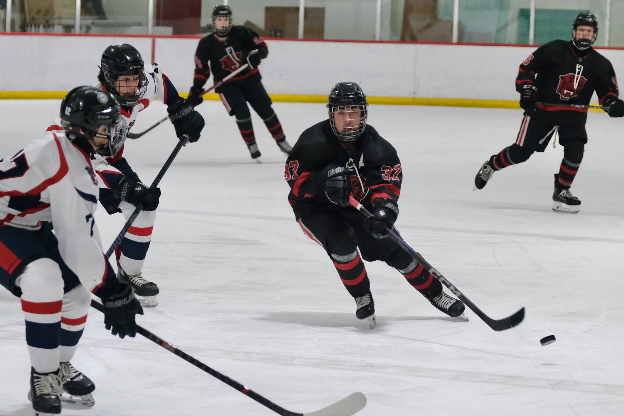 Juneau-Douglas High School: Yadaa.at Kalé senior Emilio Holbrook (37), shown in a game this season against North Pole at Treadwell Ice Arena, had three goals and two assists in two Crimson Bears wins at Kodiak over the weekend. (Klas Stolpe / Juneau Empire file photo)