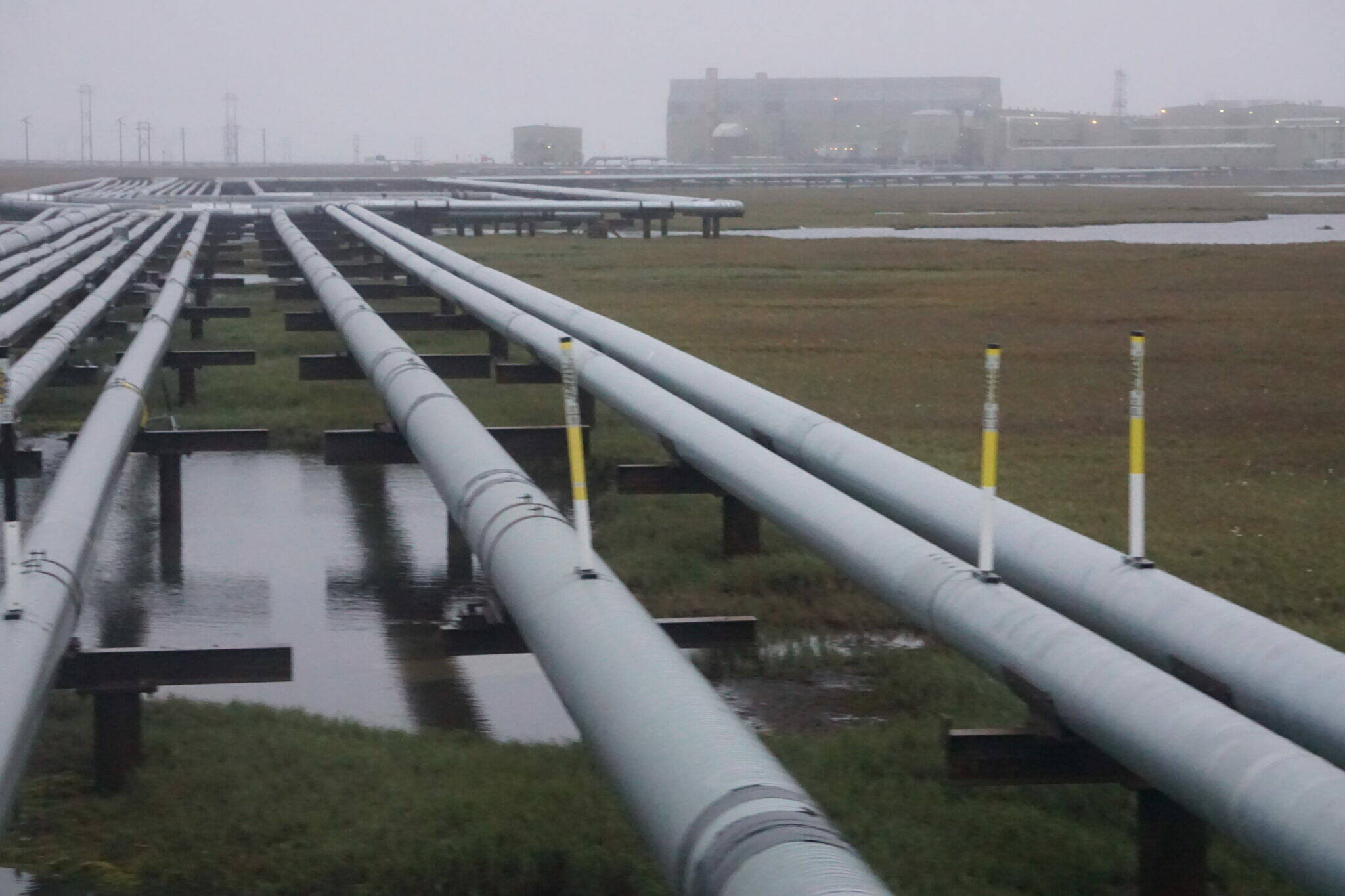 A network of pipelines, seen on Aug. 23, 2018, snakes through a portion of the Greater Prudhoe Bay Unit on Alaska’s North Slope. Oil production is expected to increase in coming years, but revenue is expected to decline, in large part because of lower oil prices, accordign to the newest forecast from the Alaska Department of Revenue. (Yereth Rosen/Alaska Beacon)