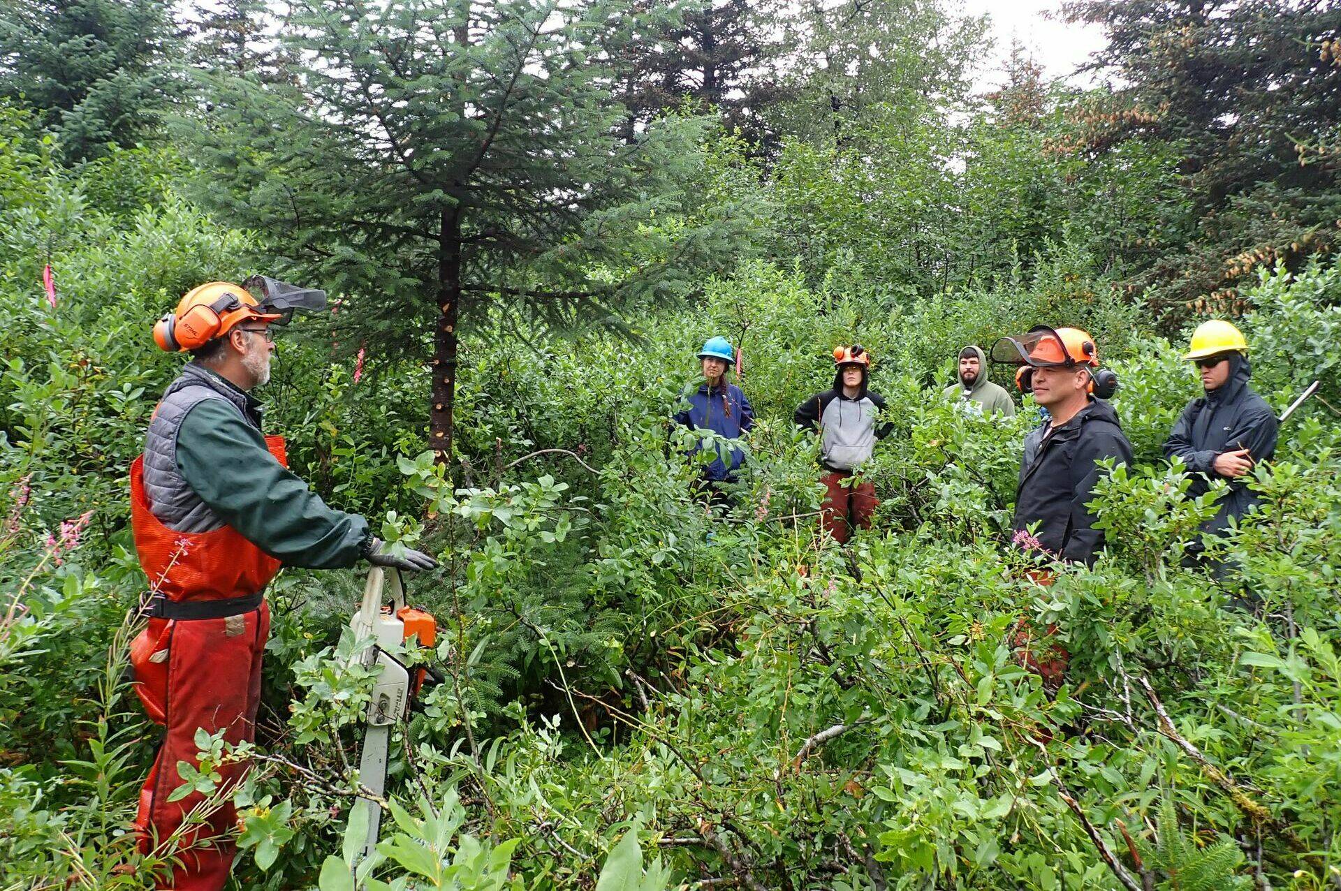 A combined crew from the Yakutat City and Borough and Tongass National Forest began pilot treatment of willows to improve moose browsing habitat in August of 2023. (U.S. Forest Service photo)