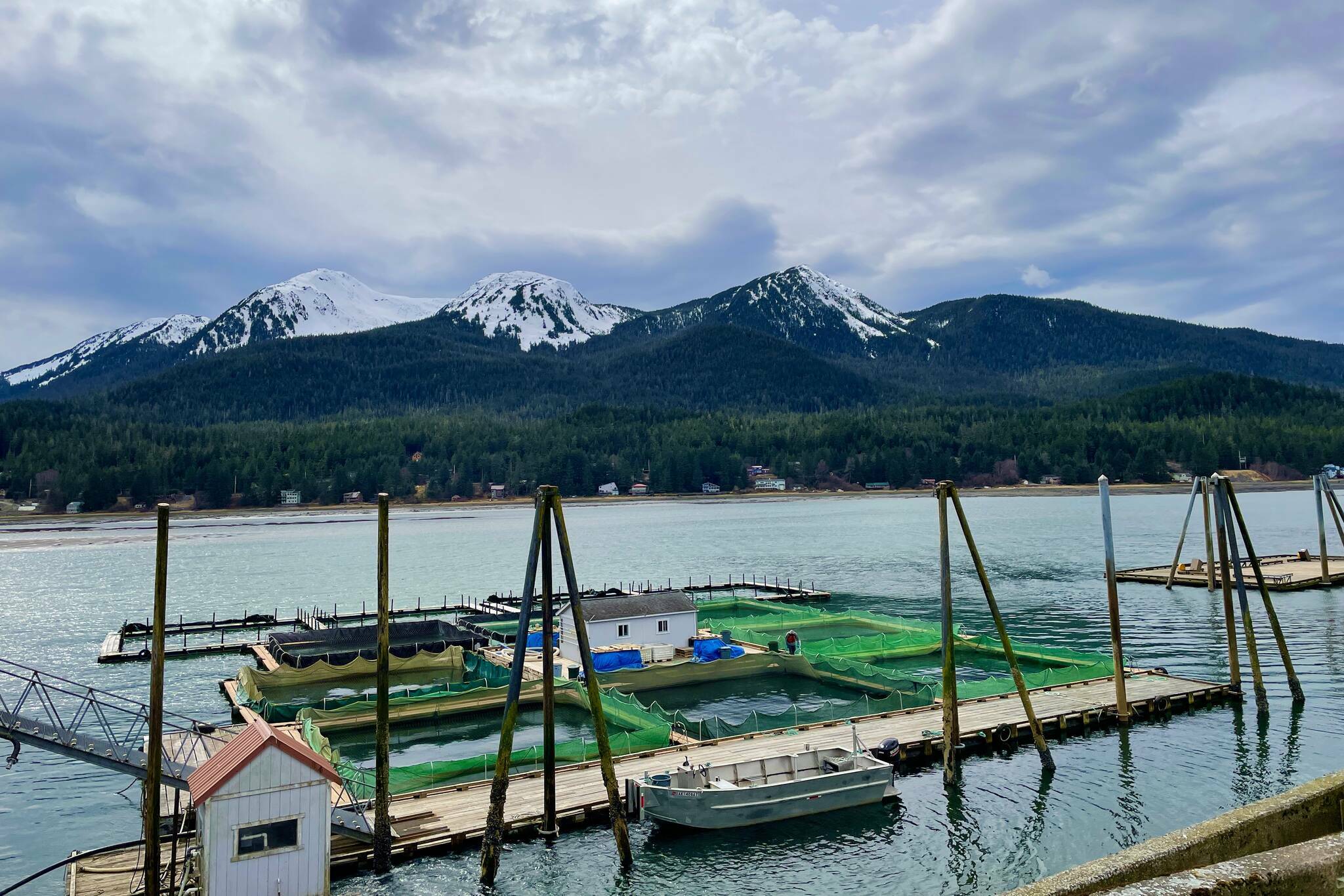 The Douglas Island Pink and Chum Inc hatchery. (Michael S. Lockett / Juneau Empire file photo)