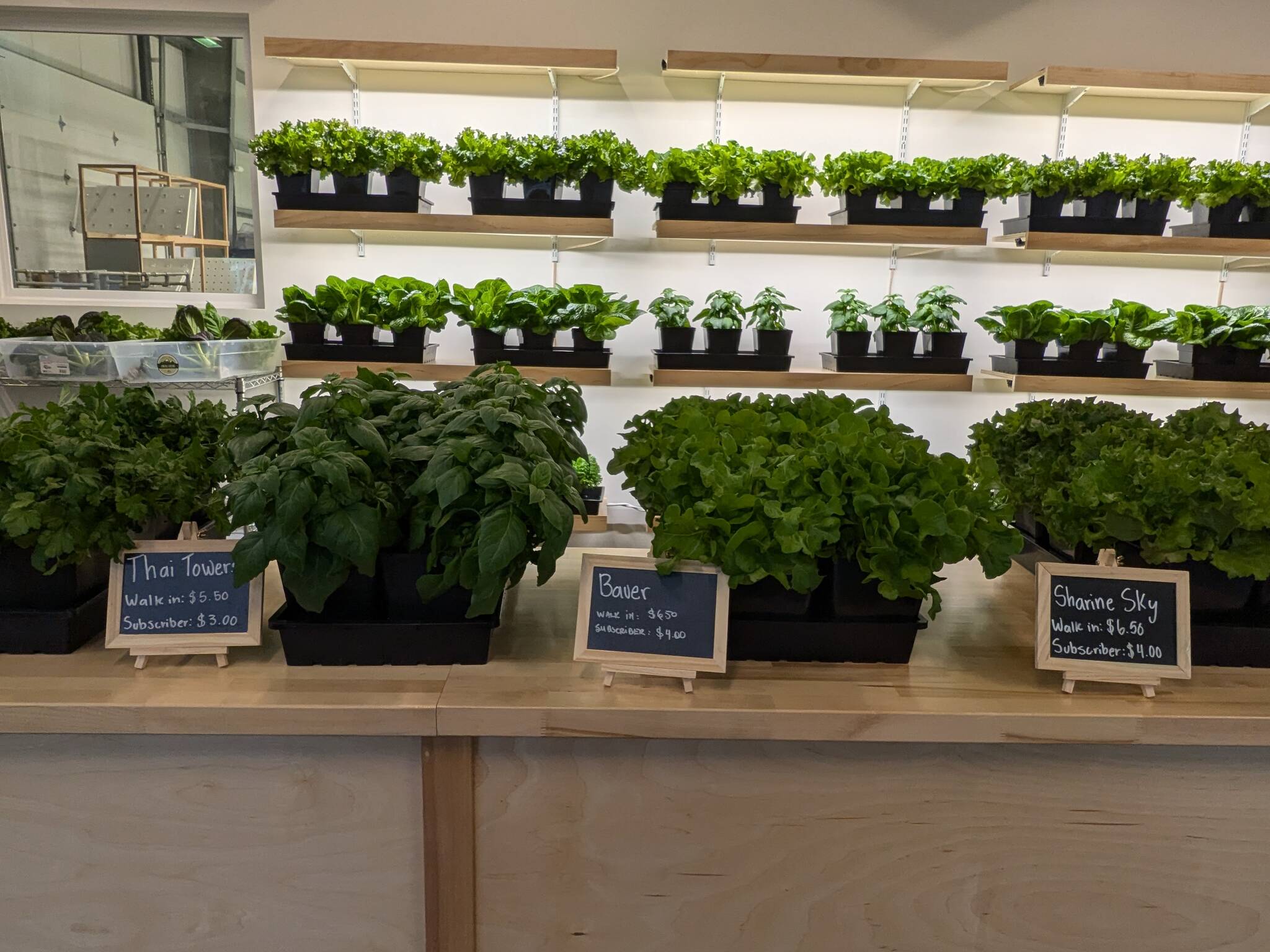 Selecting Caesar salad items at Juneau Greens. (Photo by Patty Schied)