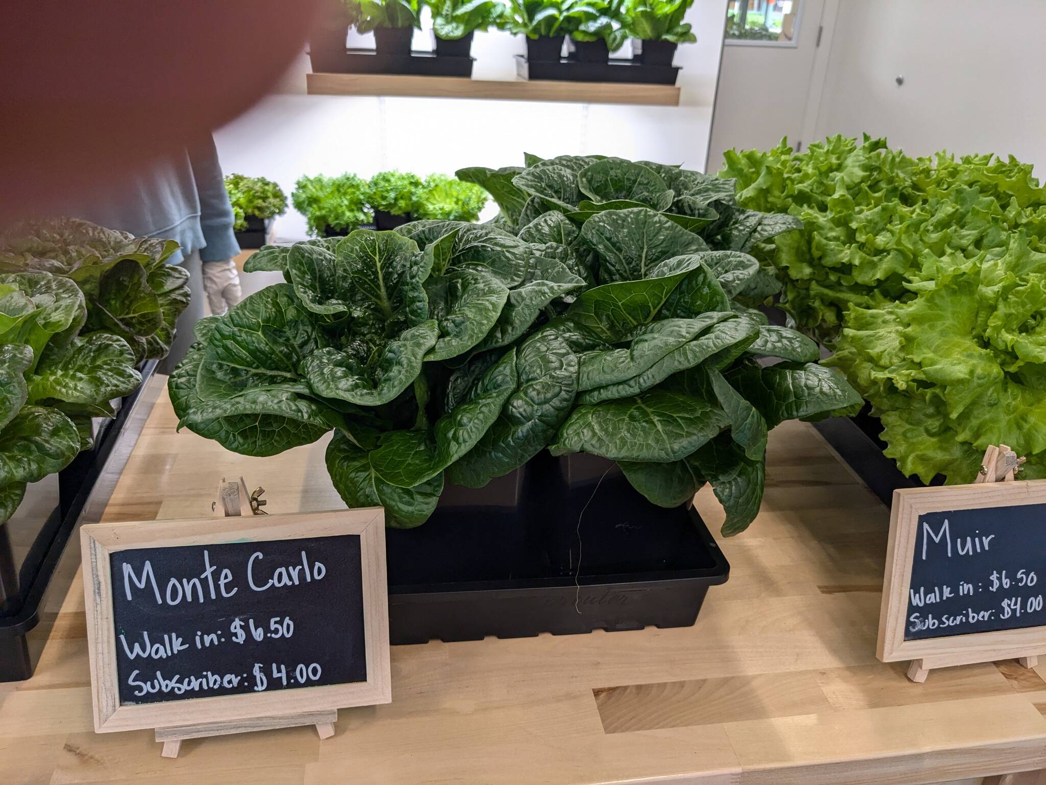 Selecting Caesar salad items at Juneau Greens. (Photo by Patty Schied)