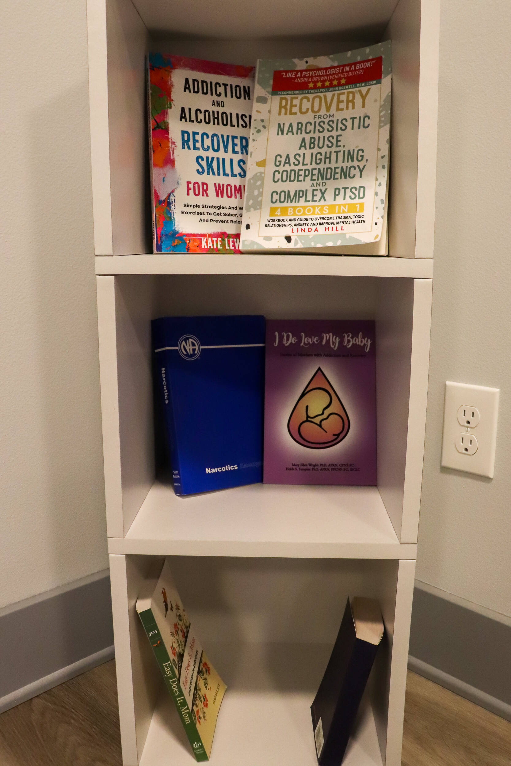 Books on addiction and recovery are seen in Haven House’s meeting room. (Jasz Garrett / Juneau Empire)