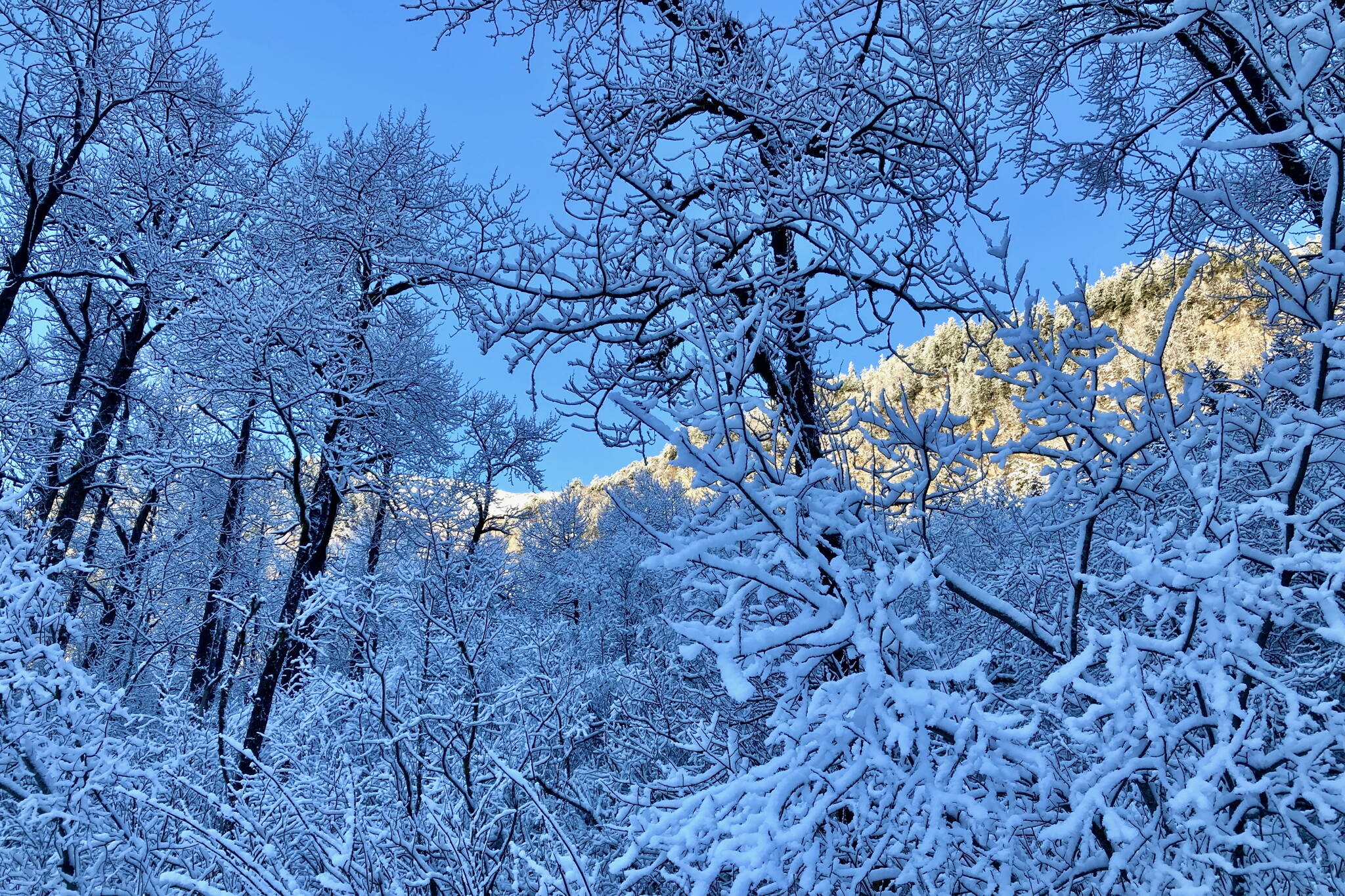 Snow is also a four letter word with more than one proper use. (Klas Stolpe / Juneau Empire)