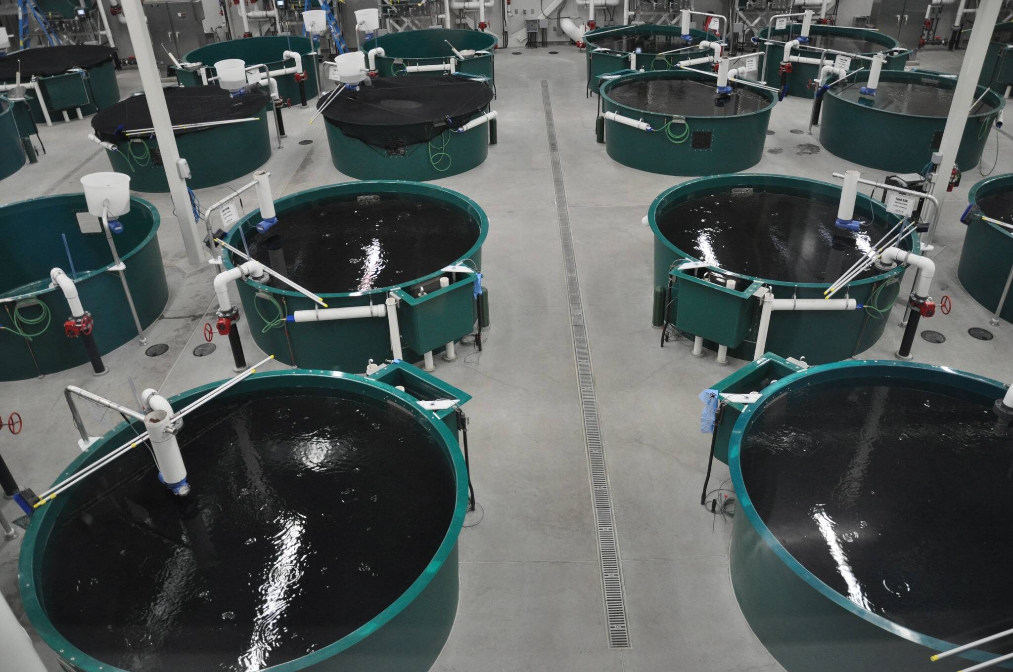 A state-run fish hatchery in Anchorage. (Alaska Department of Fish and Game photo)