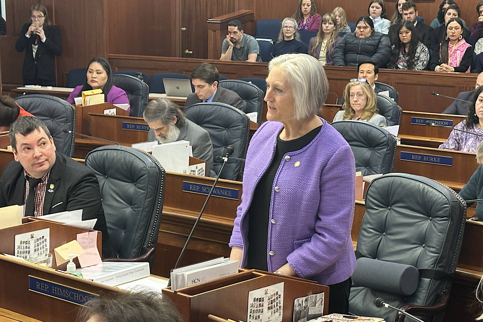 Rep. Rebecca Himschoot (I-Sitka) offers an overview of House Bill 69 during Wednesday’s floor session. (Mark Sabbatini / Juneau Empire)